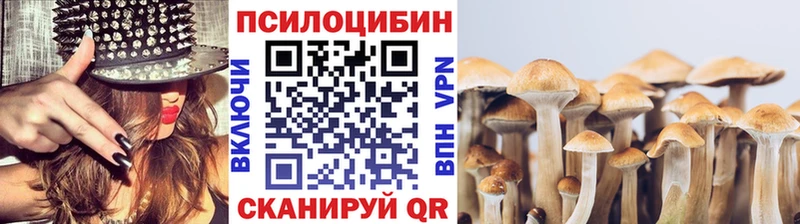 Купить  Сортавала  Галлюциногенные грибы Cubensis 