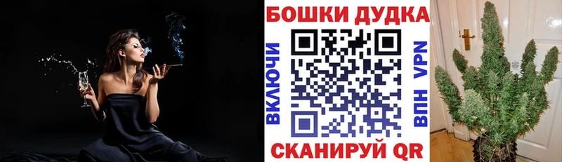 Шишки марихуана AK-47  Купить закладки  Сортавала 